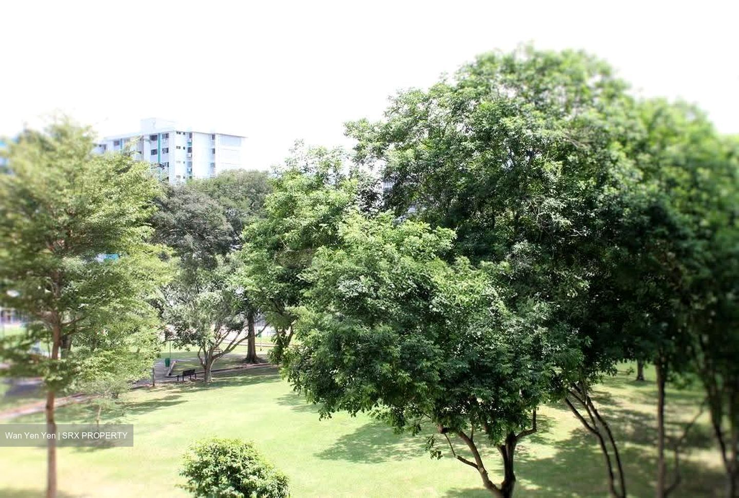 Blk 554 Kaki Bukit Green (Bedok), HDB 3 Rooms #623609841